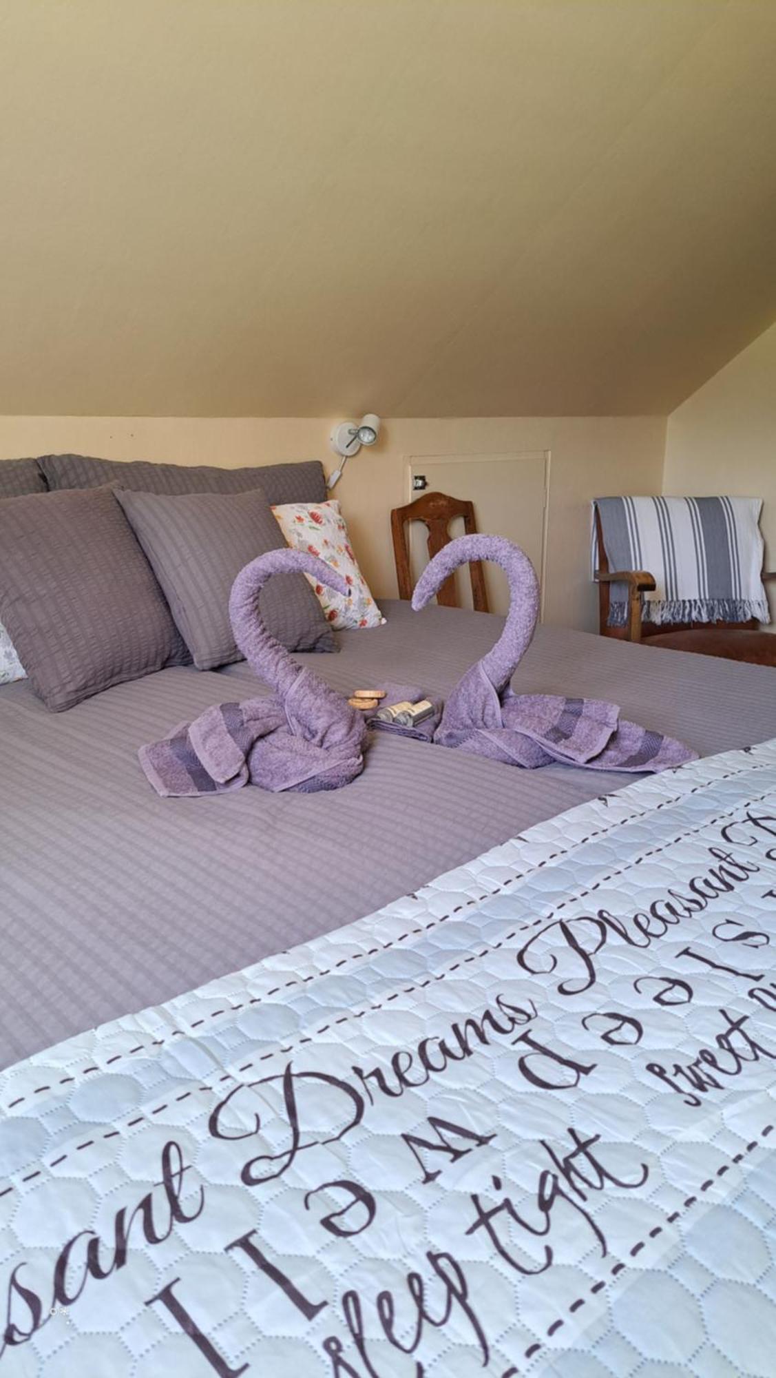 Reed Elvebakk Bed & Breakfast מראה חיצוני תמונה